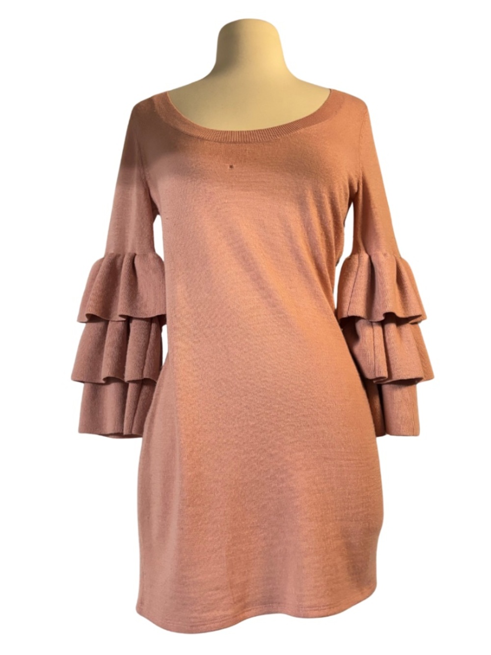Boston Proper ruffle sleeve sweater dress